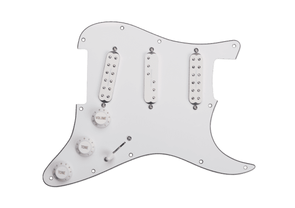 Everything Axe Loaded Pickguard