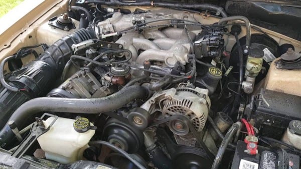 2000 V6 Mustang Engine For Sale