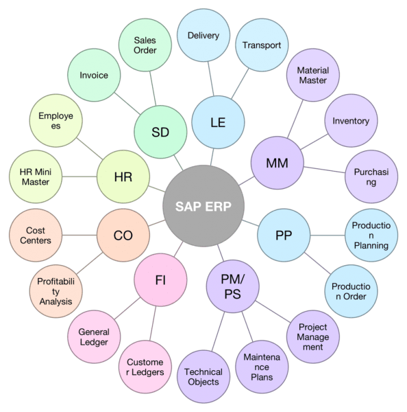 What Is Sap  An Overview