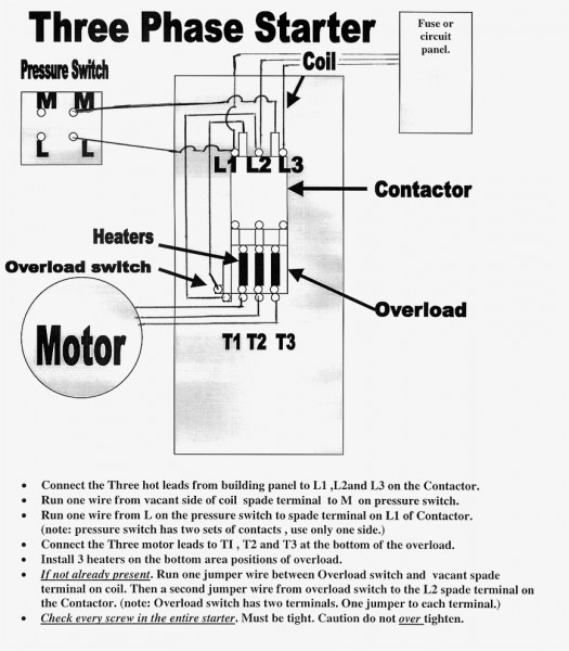 Best Motor Wiring Diagrams 3 Phase Weg Diagram Gansoukin Me On