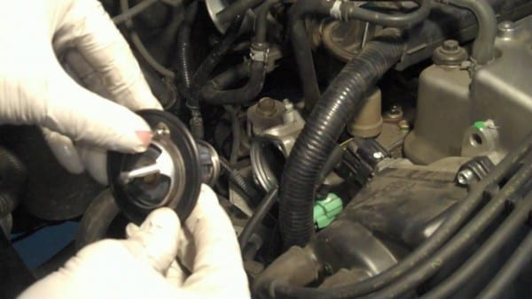Tutorial  Change Thermostat On A 2002 Honda Accord