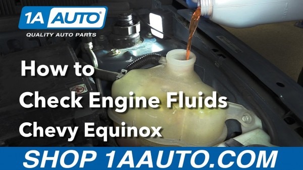 How To Check The Engine Fluids 2008 Chevy Equinox Buy Quality Auto