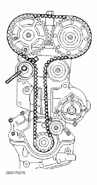 2000 Ford Focus Serpentine Belt Routing And Timing Belt Diagrams