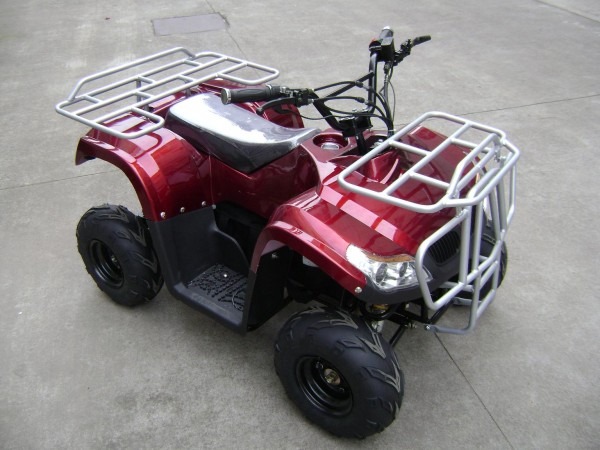 Mini Atv 110cc Dune Buggy Sx