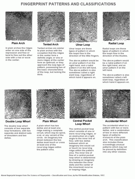 Pic Of Fingerprint Patterns And Classifications