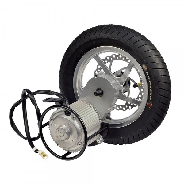 36 Volt 1000 Watt Direct Drive Electric Motor & Rear Wheel