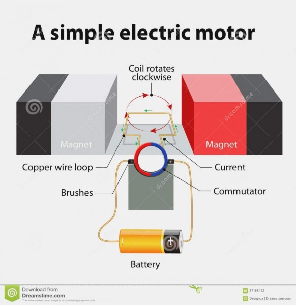 Five Facts About Electric Motor Parts
