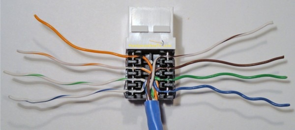 Cat5e Wiring Diagram Jack