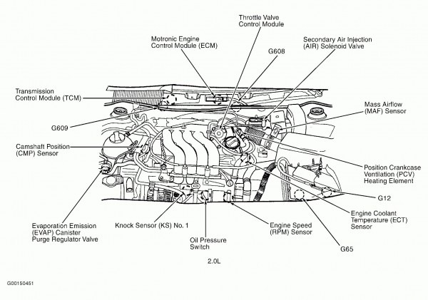 2008 Suzuki Forenza Wiring Diagram