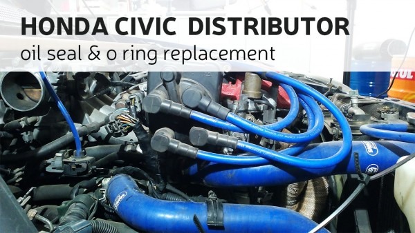 Honda Civic Distributor Oil Seal & O Ring Replacement