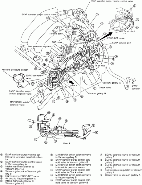 2000 Nissan Maxima Vacuum Diagram