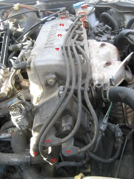 D16y5 96 Civic Hx Spark Plug Wiring Diagram