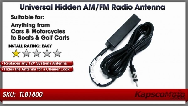 Hidden Am Fm Antenna