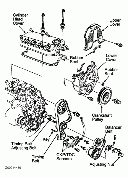 2001 Honda Accord Serpentine Belt Routing And Timing Belt Diagrams