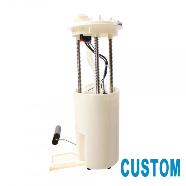 Custom Electric Fuel Pump Module Assembly For 1998