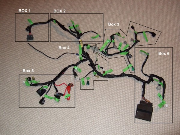 Mk Indy R1 Kit Car, Build Diary  The Wiring Harness