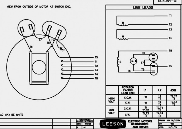 Leeson Motor Wiring Diagram 12 Leads