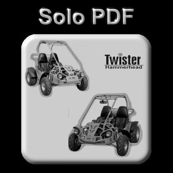 Hammerhead Twister Buggy 150, 200 & 250 Cc