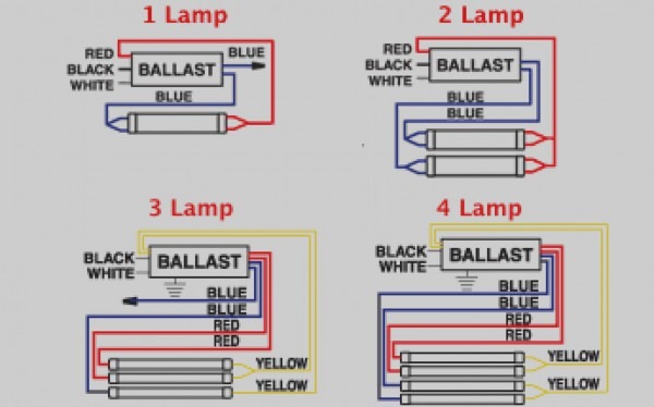 3 Lamp 2 Ballast Diagram