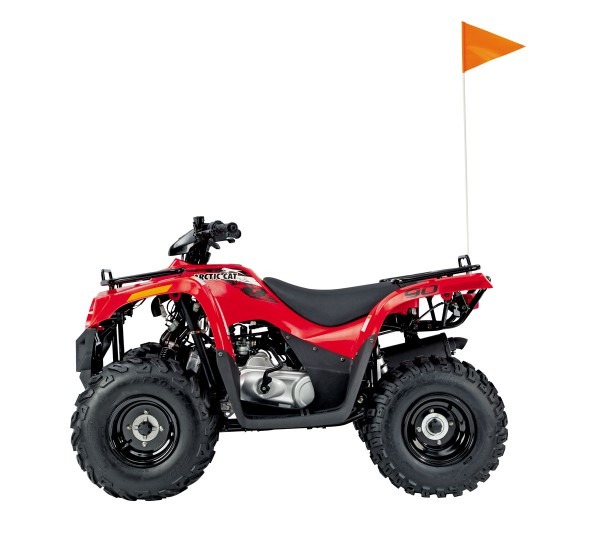 2014 Youth Atv Buyer's Guide