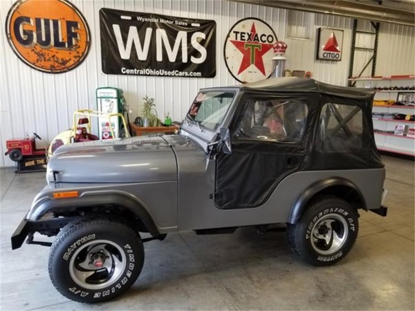 1979 Jeep Wrangler For Sale