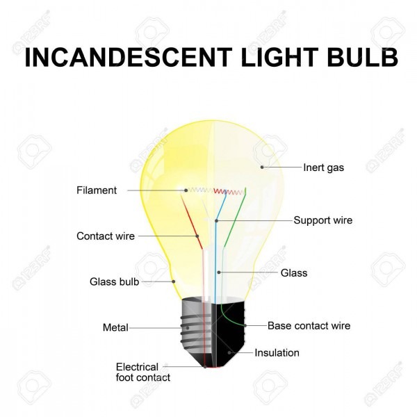 Science Diagrams Of Bulb