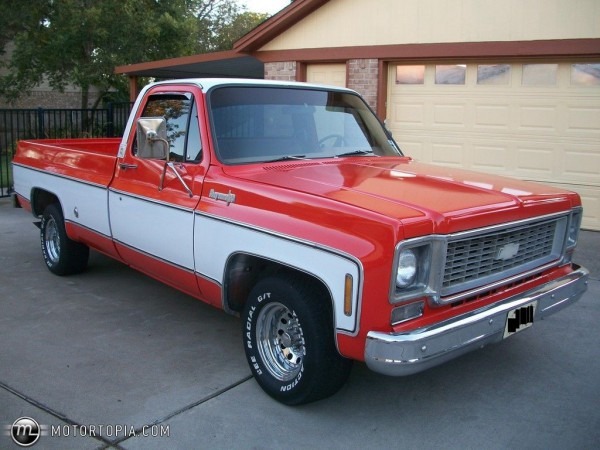 1974 Chevrolet Pickup Truck  38 Years Old  In Better Shape Than