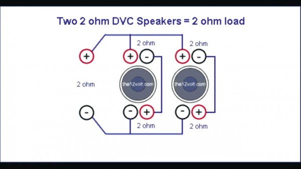 Dvc 1 Ohm Wire Diagram