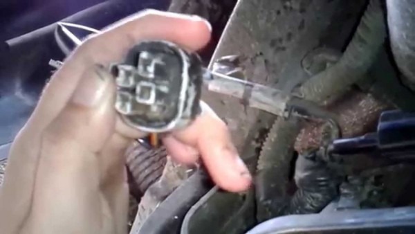 Isuzu Rodeo Fuel Wiring Connections