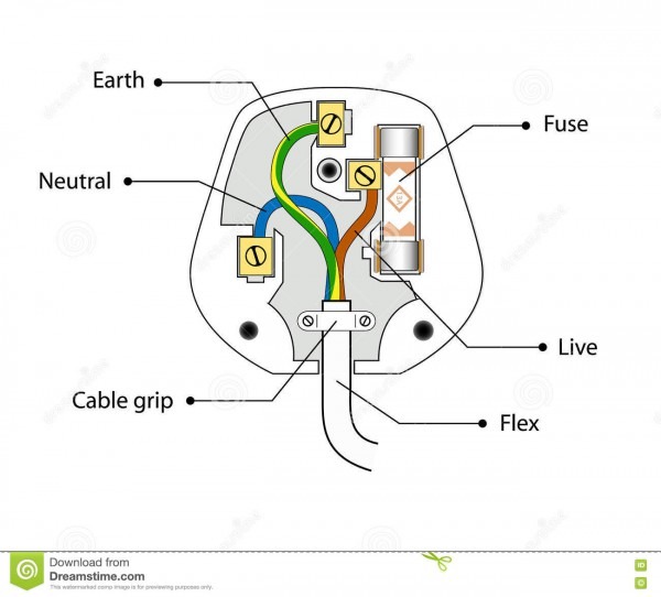 Open Uk Three Pin Plug Case  Fuse, Wires  Illustration  Vector
