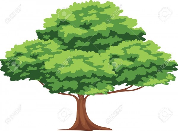 Tree Vector Royalty Free Cliparts, Vectors, And Stock Illustration