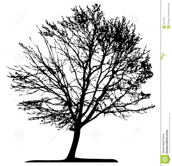 Tree (vector) Stock Vector  Illustration Of Outside, Illustration
